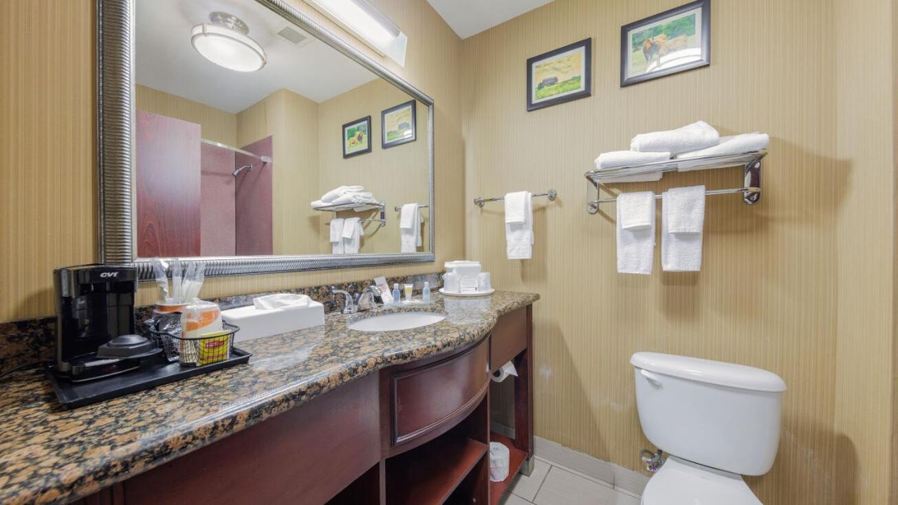 King Suite Disability Access or Non-Smoking